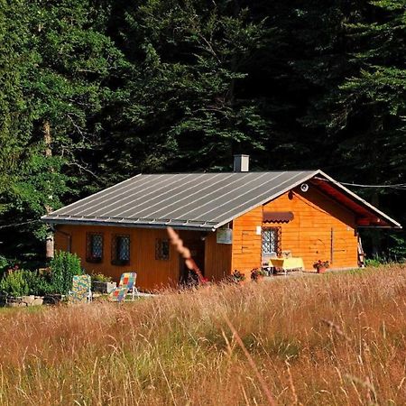 Haus An Der Bergwiese วัลด์เคอร์เชิน ภายนอก รูปภาพ