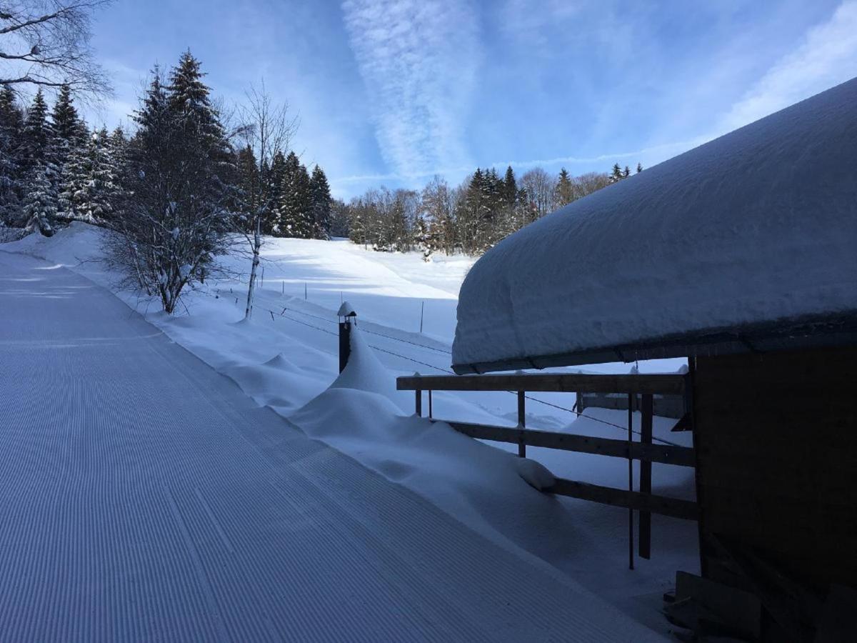 Haus An Der Bergwiese วัลด์เคอร์เชิน ภายนอก รูปภาพ