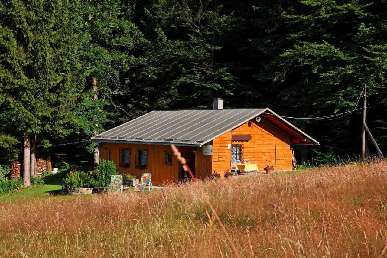 Haus An Der Bergwiese วัลด์เคอร์เชิน ภายนอก รูปภาพ